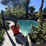 4 Bears 4* Nîmes