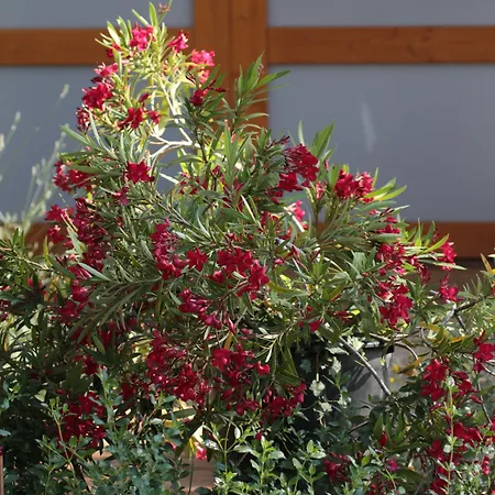 Couette-café 4 Bears 3*