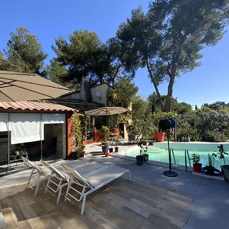 4 Bears 4* Nîmes