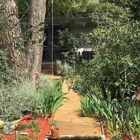 Couette-café 4 Bears