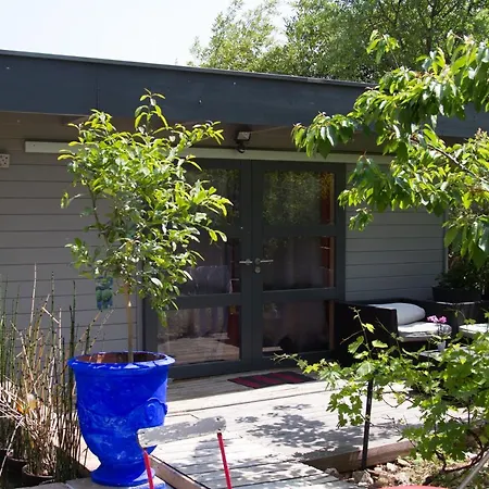 Couette-café 4 Bears