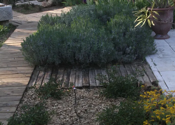 4 Bears فندق مبيت وإفطار نيم