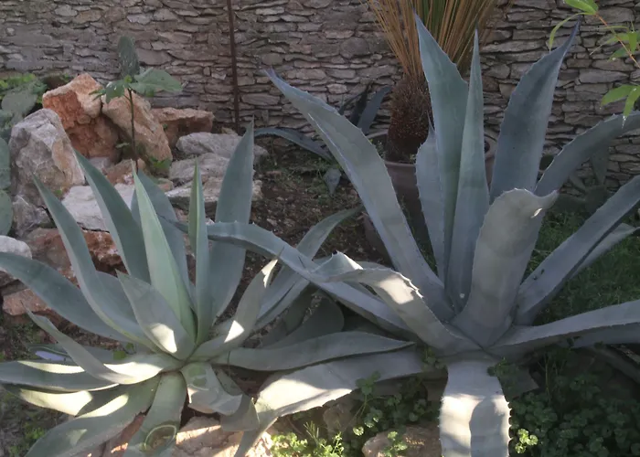 4 Bears فندق مبيت وإفطار نيم