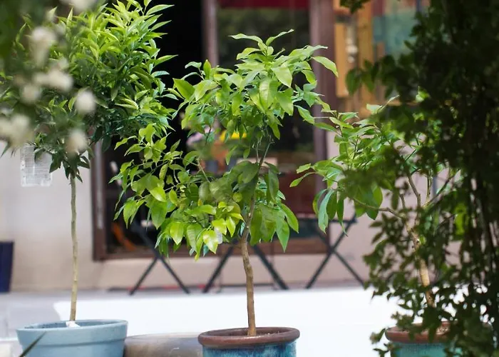 فندق مبيت وإفطار 4 Bears 3*